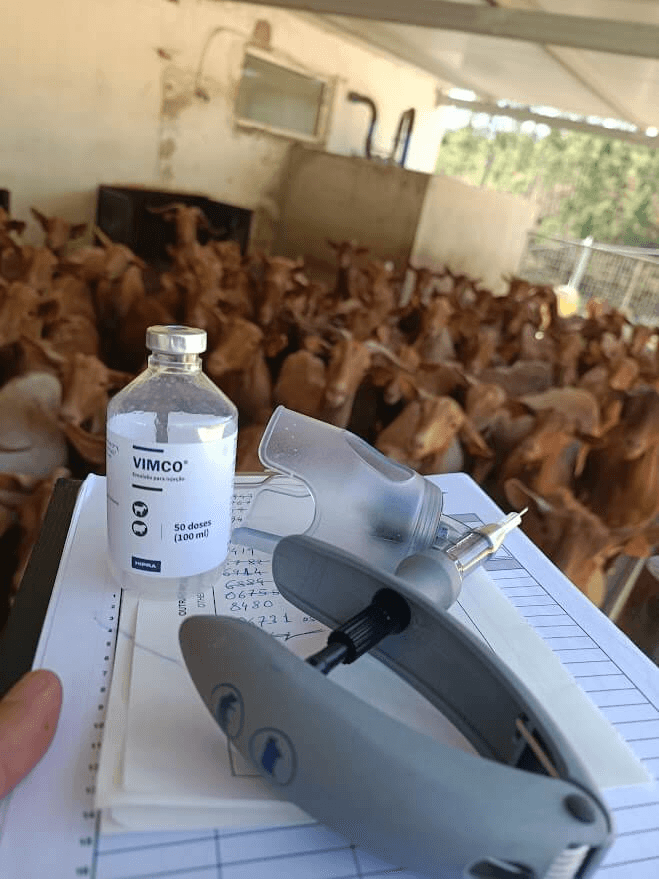 Centro Veterinário Vetouro